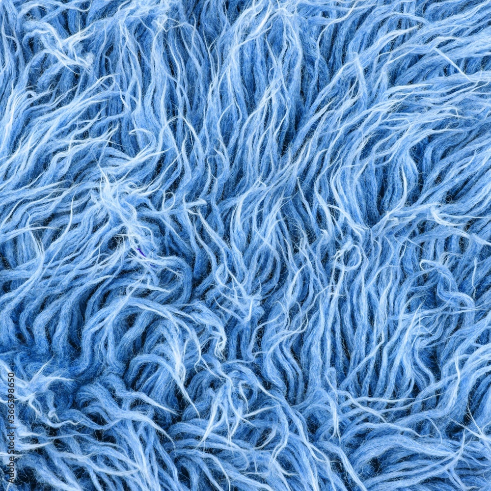 Turquoise blue polyester fur rug background. Wool texture. Close up sheep fur