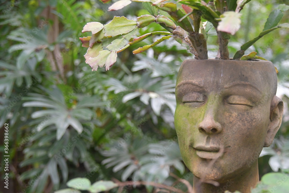 Obraz premium zen face flower pot