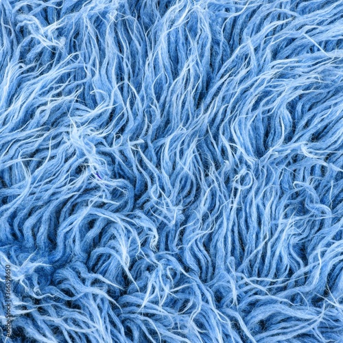 Turquoise blue polyester fur rug background. Wool texture. Close up sheep fur