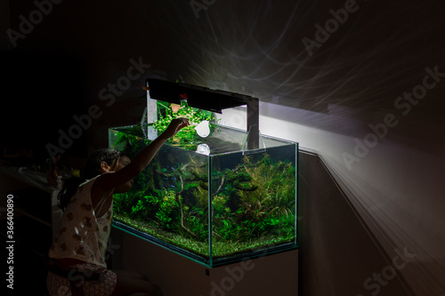 kid maintenance freshwater aquarium  at night