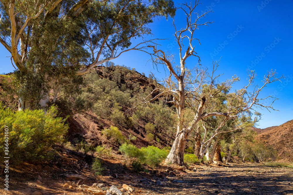 Parachilna Gorge in Flinders Range National Park, South Australia, Australia Parachilna Gorge in Flinders Range National Park, South Australia, Australia