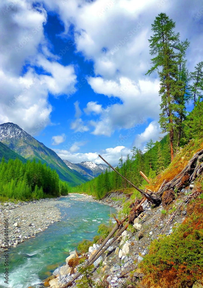 Obraz premium mountain landscape with river