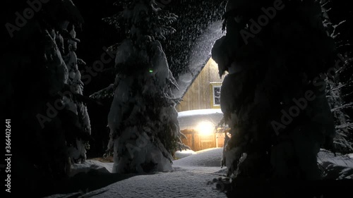 mountain house and spruce in snow at night in forest. It is snowing