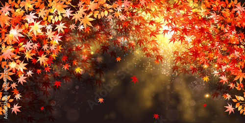 紅葉　もみじ　秋　背景