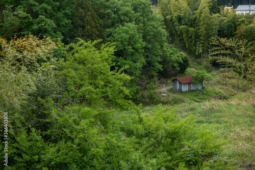 Cottage in a forests © Iwao