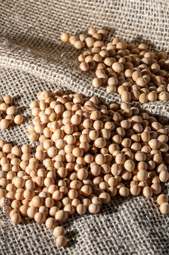 Brazilian soybean seeds on jute background with selective focus in Brazil