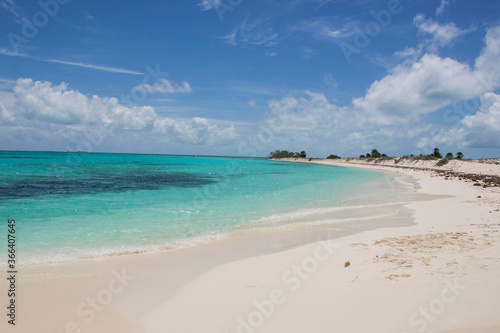 tropical beach with blue sky los roques venezuela photo