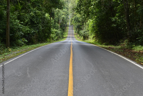 Road in National park with forest and mountain, Khao Yai national park, Thailand 