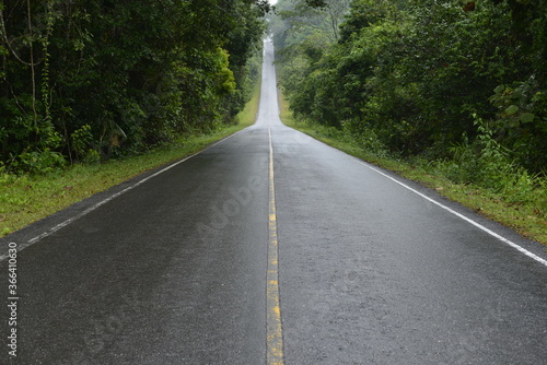 Road in National park with forest and mountain, Khao Yai national park, Thailand 