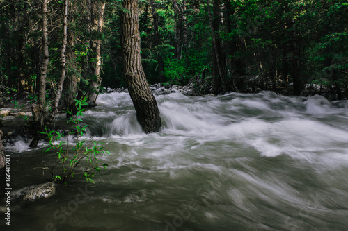 Little Cottonwood river is one of the principal streams entering Salt Lake Valley from the east rises near the summit of the Wasatch Mountains a short distance south of the ski resort town of Alta