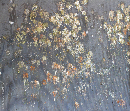 Bird dropping on roof , dirty roof,bird poop