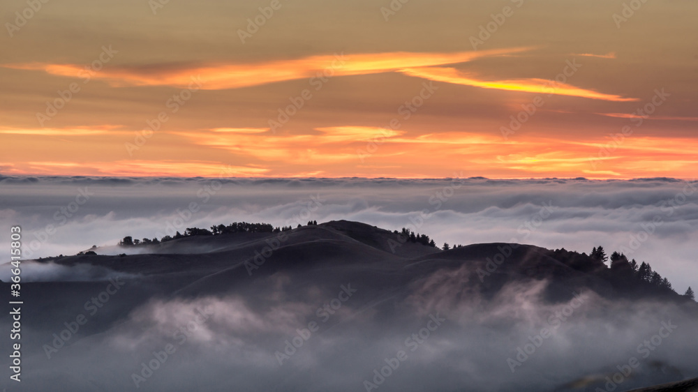 Sunset above the clouds. Fog covering the Pacific Ocean as seen from Russian Ridge Open Space Preserve, San Mateo County, California, USA.
