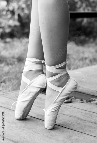 ballerina pointe shoes