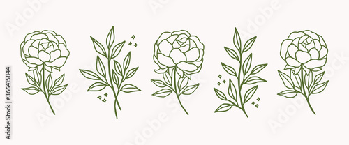 Vector feminine logo design templates in trendy linear minimal style. Peony flowers and botanical leaf branch. Symbols and icons for cosmetics, jewellery, beauty and handmade products