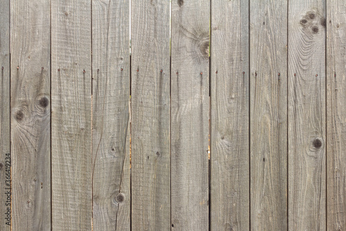 Wooden background in natural gray. Old rustic fence with cracks and rusty nails.