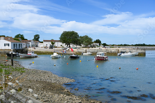 Ile de Ré petit port de Loix