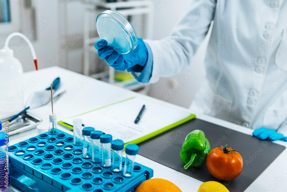 Food Quality Assessment in Microbiology Laboratory Food Quality Assessment in Microbiology Laboratory