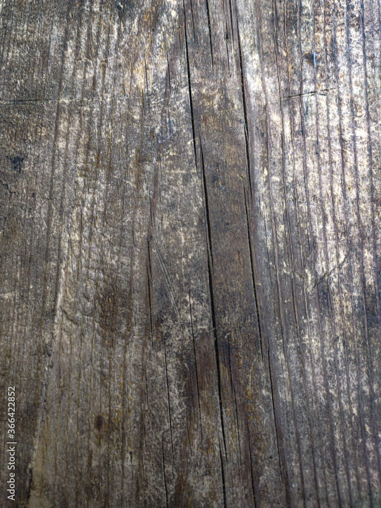 Obraz premium old wood texture