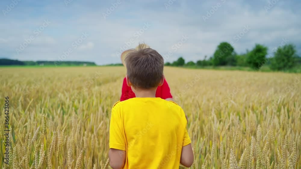 Children playing in wheat field. Brothers running cross the wheat field Children playing in wheat field. Brothers running cross the wheat field