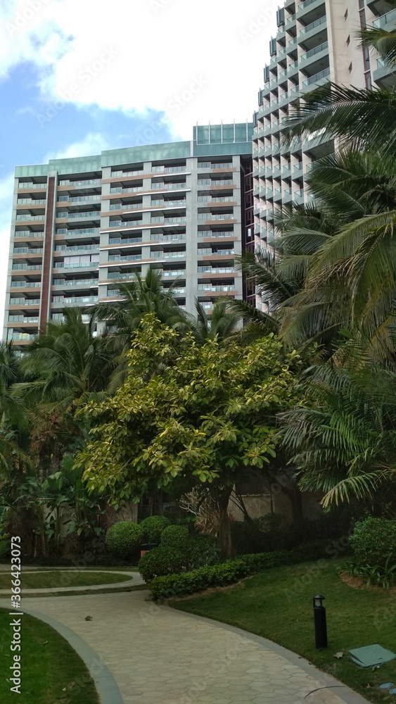 A beautiful park in China against the backdrop of buildings. Around green palms and trees.