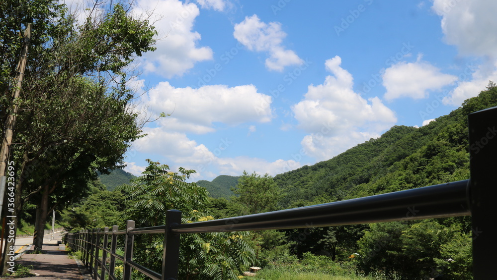 bridge over the river