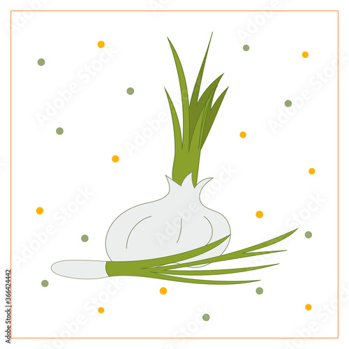 Vector card with vegetables. Ripe Flavored Garlic and Chives.
