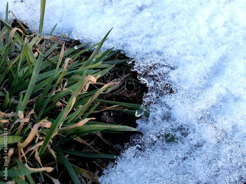 snow on the ground