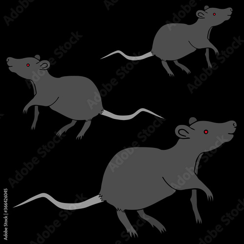 Black rat. Vector illustration. Rodent on an isolated black background. Carrier of plague and other diseases. The animal is a natural reservoir of infection. Bubonic plague. Science, medicine.