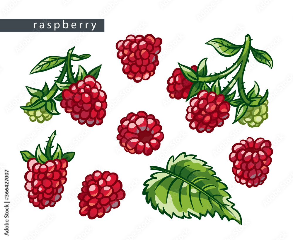 sketch_raspberry_set sketch_raspberry_set