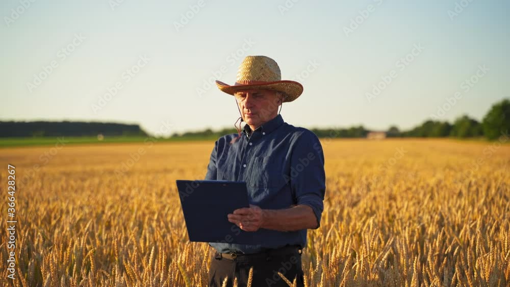 Agronomist inspecting wheat field. Farmer in field examining wheat crop Agronomist inspecting wheat field. Farmer in field examining wheat crop