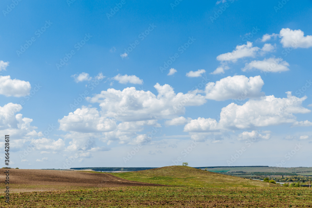 Green meadow under blue sky with clouds. Beautiful nature, landscape.