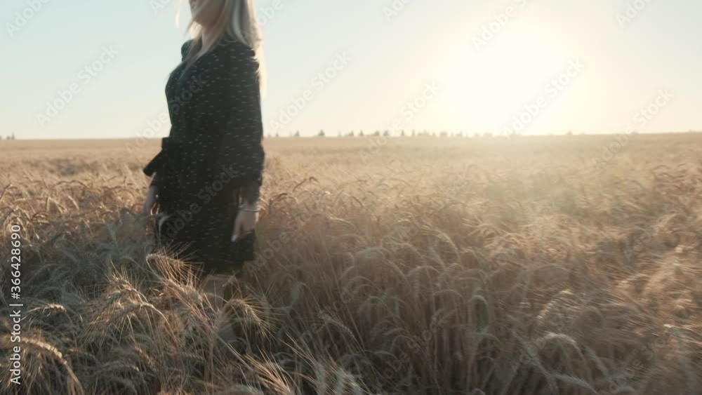 Beautiful blonde in a wheat field in a black dress. Beautiful sunset sun on a summer evening. Beautiful blonde in a wheat field in a black dress. Beautiful sunset sun on a summer evening.