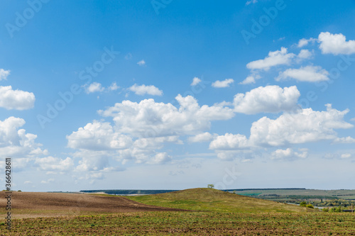Green meadow under blue sky with clouds. Beautiful nature  landscape.