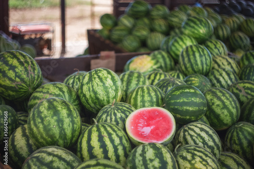 Watermelons are sold at the farmers ' market. Fresh watermelons close-up. Selective and soft focus. The season of watermelons.