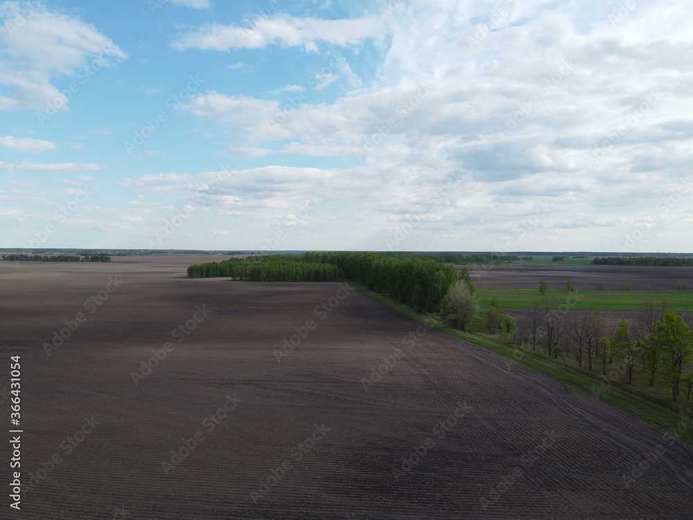 Forest belt along a plowed field, aerial view. Cloudy sky over farm fields. Beautiful landscape.