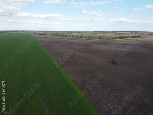 Vast farmland on a sunny day, aerial view. Sown agricultural field.