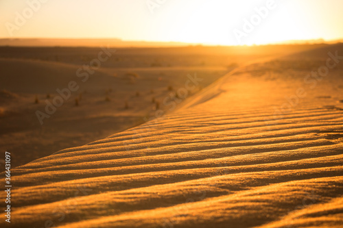 Close-up of the Erg Chebbi desert sand in Merzouga at sunrise, in Morocco