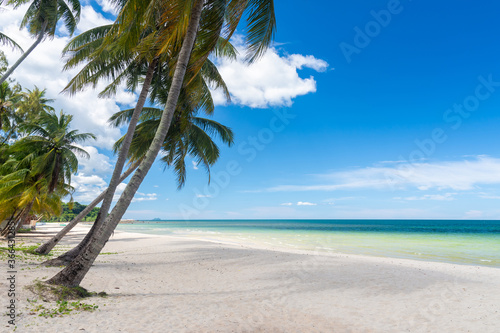 Fototapeta Naklejka Na Ścianę i Meble -  Sandy beach with palm and turquoise sea. Summer vacation and travel concept.