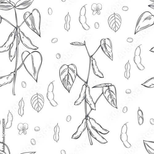 Hand drawn soybean plant on a white background. Vector seamless pattern.
