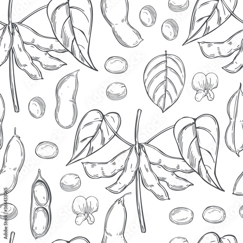 Hand drawn soybean plant on a white background. Vector seamless pattern.