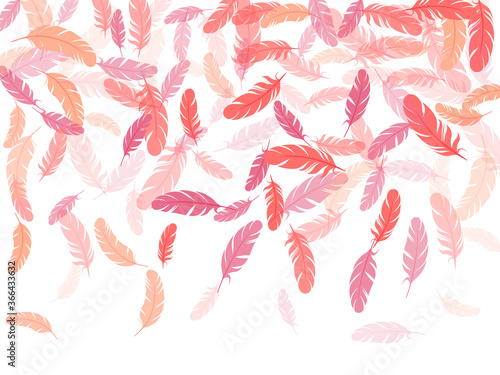 Detailed majestic feather on white design.