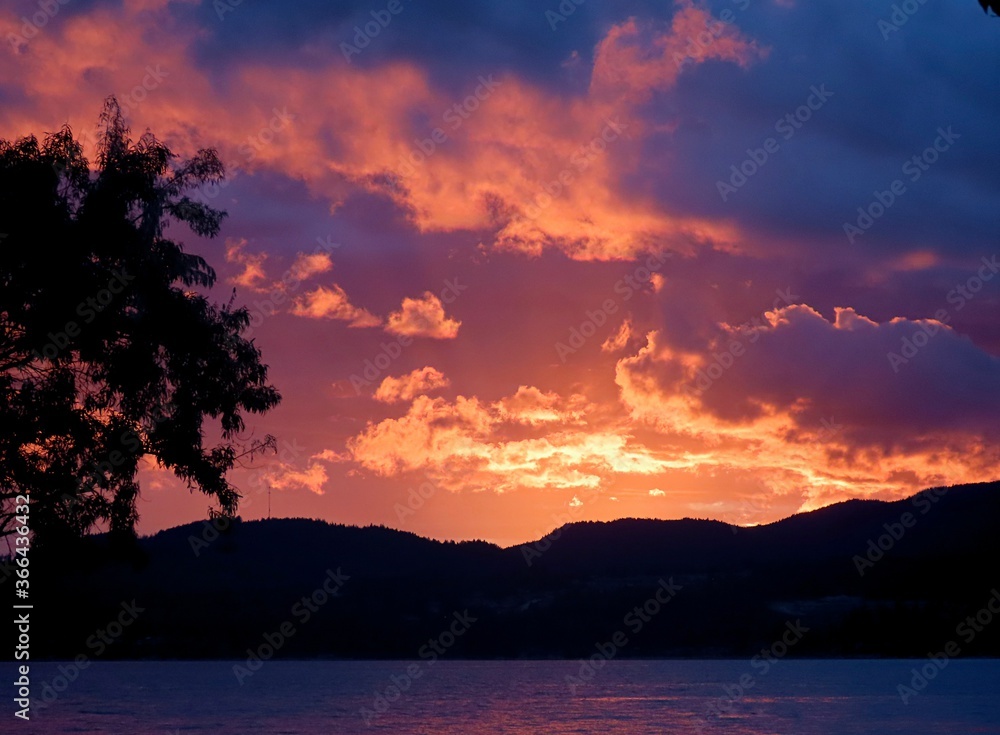 Fototapeta premium orange, pink and purple sunset