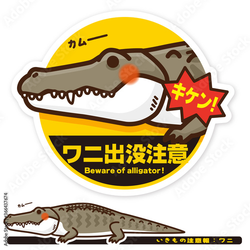 いきもの注意報：ワニ（アリゲーター）出没注意サイン
