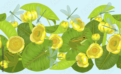 Obraz na plátně Yellow water Lily flowers and leaves, nuphar lutea,dragonflies and frogs, pond a