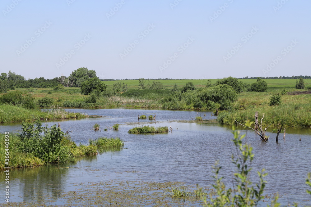a beautiful river adorns the landscape and gives life to everything around a beautiful river adorns the landscape and gives life to everything around