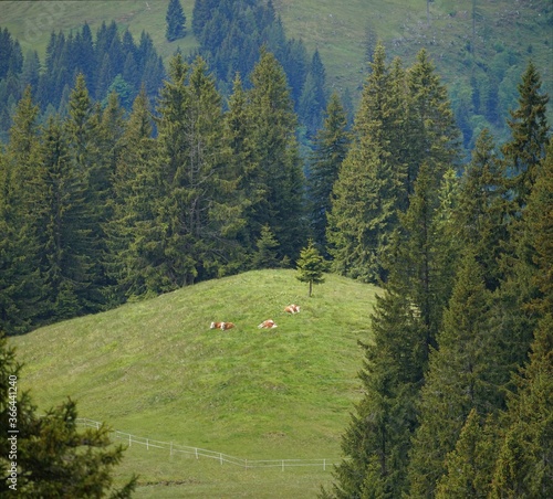 Chiemgau Wanderung Breitenstein/Geigelstein photo