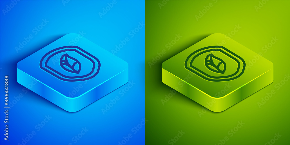 Isometric line Shield with leaf icon isolated on blue and green background. Eco-friendly security shield with leaf. Square button. Vector Illustration. Isometric line Shield with leaf icon isolated on blue and green background. Eco-friendly security shield with leaf. Square button. Vector Illustration.