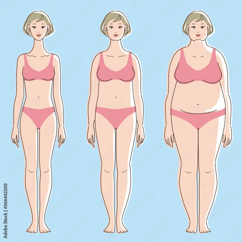 Slender, medium, and overweight. Front whole body of white skinned female. Concept of health, beauty, and diet. Vector illustration. Slender, medium, and overweight. Front whole body of white skinned female. Concept of health, beauty, and diet. Vector illustration.