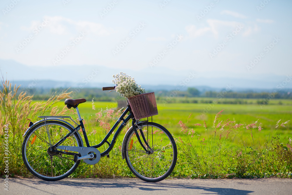 Fototapeta premium Vintage bike in the meadow at sunrise