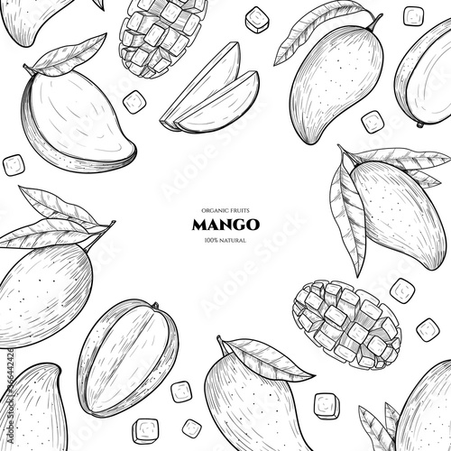 Vector frame with mango. Hand drawn. Vintage style